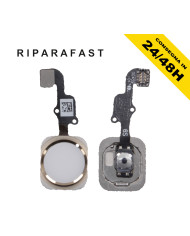 Tasto Home iPhone 6S Gold | Riparafast SRLS