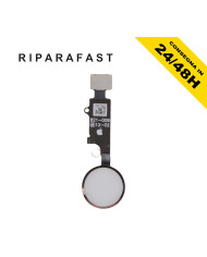 Tasto Home iPhone 7/8 Plus Rose Gold Flat Flex | Riparafast SRLS