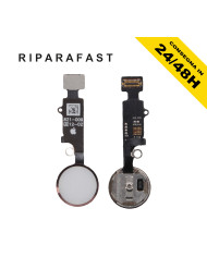 Tasto Home iPhone 7/8 Plus Rose Gold Flat Flex | Riparafast SRLS