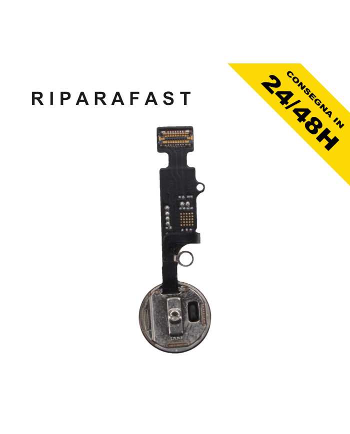 Tasto Home iPhone 7/8 Plus Rose Gold Flat Flex | Riparafast SRLS