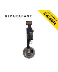 Tasto Home iPhone 7/8 Plus Rose Gold Flat Flex | Riparafast SRLS