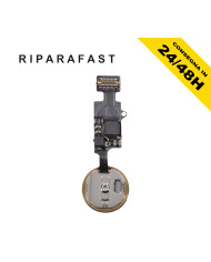 Tasto Home iPhone 7/8 Plus Oro Flat Flex Pulsante | Riparafast SRLS