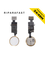 Tasto Home iPhone 7/8 Plus Oro Flat Flex Pulsante | Riparafast SRLS