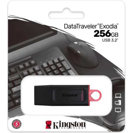 Pendrive USB-A 256GB Rossa di Alta Qualità | Riparafast SRLS