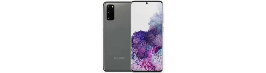 Ricambi Samsung Galaxy S20 SM-G980F Originali e Compatibili - Riparafast SRLS