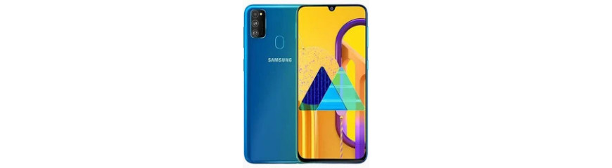 Ricambi Samsung Galaxy M30s SM-M307F Originali - Riparafast SRLS